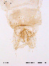  ( - ATNA247)  @12 [ ] CreativeCommons - Attribution Non-Commercial Share-Alike (2011) NTNU Museum of Natural History and Archaeology NTNU Museum of Natural History and Archaeology