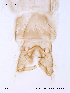 ( - ATNA250)  @12 [ ] CreativeCommons - Attribution Non-Commercial Share-Alike (2011) NTNU Museum of Natural History and Archaeology NTNU Museum of Natural History and Archaeology