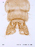  ( - ATNA260)  @12 [ ] CreativeCommons - Attribution Non-Commercial Share-Alike (2011) NTNU Museum of Natural History and Archaeology NTNU Museum of Natural History and Archaeology