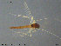  ( - ATNA534)  @11 [ ] CreativeCommons - Attribution Non-Commercial Share-Alike (2015) NTNU University Museum, Department of Natural History NTNU University Museum, Department of Natural History