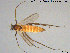  ( - ATNA536)  @11 [ ] CreativeCommons - Attribution Non-Commercial Share-Alike (2015) NTNU University Museum, Department of Natural History NTNU University Museum, Department of Natural History