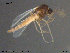  ( - ATNA542)  @11 [ ] CreativeCommons - Attribution Non-Commercial Share-Alike (2015) NTNU University Museum, Department of Natural History NTNU University Museum, Department of Natural History