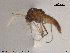  ( - ATNA572)  @11 [ ] CreativeCommons - Attribution Non-Commercial Share-Alike (2015) NTNU University Museum, Department of Natural History NTNU University Museum, Department of Natural History