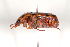  ( - MIC60037-013)  @13 [ ] Copyright (2013) Christian Moeseneder MIC