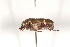  ( - MIC60481-002)  @13 [ ] Copyright (2013) Christian Moeseneder MIC