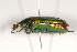  ( - MIC60553-001)  @12 [ ] Copyright (2013) Christian Moeseneder MIC