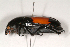  ( - MIC60600-001)  @11 [ ] Copyright (2013) Christian Moeseneder MIC
