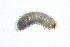  ( - MIC61103-007)  @12 [ ] Copyright (2013) Christian Moeseneder MIC