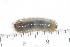  ( - MIC61103-008)  @11 [ ] Copyright (2013) Christian Moeseneder MIC