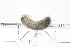  ( - MIC61104-002)  @12 [ ] Copyright (2013) Christian Moeseneder MIC