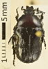  ( - AFBRC8051-03)  @11 [ ] CreativeCommons  Attribution (by) (2018) Christian Moeseneder MIC