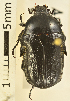  ( - AFBRC8061-05)  @11 [ ] CreativeCommons  Attribution (by) (2018) Christian Moeseneder MIC