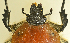  ( - AFBRC8086-03)  @11 [ ] CreativeCommons  Attribution (by) (2019) Christian Moeseneder AFBRC