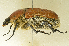  ( - AFBRC8086-03)  @11 [ ] CreativeCommons  Attribution (by) (2019) Christian Moeseneder AFBRC