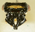  ( - AFBRC8086-04)  @11 [ ] CreativeCommons  Attribution (by) (2019) Christian Moeseneder AFBRC