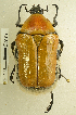  ( - AFBRC8086-04)  @11 [ ] CreativeCommons  Attribution (by) (2019) Christian Moeseneder AFBRC