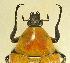  ( - AFBRC8086-04)  @11 [ ] CreativeCommons  Attribution (by) (2019) Christian Moeseneder AFBRC