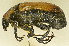  ( - AFBRC8104-01)  @11 [ ] CreativeCommons  Attribution (by) (2019) Christian Moeseneder AFBRC