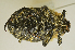 ( - AFBRC8104-02)  @11 [ ] CreativeCommons  Attribution (by) (2019) Christian Moeseneder AFBRC