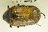  ( - AFBRC8104-04)  @11 [ ] CreativeCommons  Attribution (by) (2019) Christian Moeseneder AFBRC
