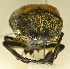  ( - AFBRC8104-04)  @11 [ ] CreativeCommons  Attribution (by) (2019) Christian Moeseneder AFBRC