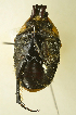  ( - AFBRC8111-01)  @11 [ ] CreativeCommons  Attribution (by) (2019) Christian Moeseneder AFBRC