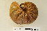  ( - MIC60541-002)  @12 [ ] CreativeCommons  Attribution (by) (2016) Christian Moeseneder MIC