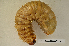  ( - MIC60656-003)  @12 [ ] CreativeCommons  Attribution (by) (2016) Christian Moeseneder MIC