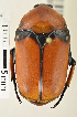  ( - MIC60722-001)  @13 [ ] CreativeCommons  Attribution (by) (2016) Christian Moeseneder MIC