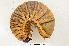  ( - MIC60734-003)  @11 [ ] CreativeCommons  Attribution (by) (2016) Christian Moeseneder MIC