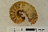  ( - MIC60892-005)  @11 [ ] CreativeCommons  Attribution (by) (2016) Christian Moeseneder MIC