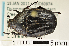  ( - MIC60974-010)  @11 [ ] CreativeCommons  Attribution (by) (2016) Christian Moeseneder MIC