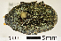  ( - MIC60984-001)  @11 [ ] CreativeCommons  Attribution (by) (2016) Christian Moeseneder MIC