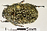 ( - MIC60998-036)  @11 [ ] CreativeCommons  Attribution (by) (2016) Christian Moeseneder MIC