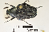  (Navigator - MIC61103-004)  @13 [ ] CreativeCommons  Attribution (by) (2016) Christian Moeseneder MIC