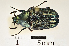  ( - MIC61103-005)  @11 [ ] CreativeCommons  Attribution (by) (2016) Christian Moeseneder MIC