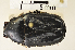  ( - MIC61189-001)  @11 [ ] CreativeCommons  Attribution (by) (2016) Christian Moeseneder MIC
