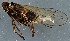  ( - ZMUO.078858)  @11 [ ] by-nc (2023) Marko Mutanen University of Oulu