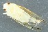  ( - ZMUO.078920)  @11 [ ] by-nc (2023) Marko Mutanen University of Oulu