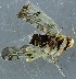  ( - ZMUO.078929)  @11 [ ] by-nc (2023) Marko Mutanen University of Oulu