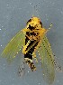  ( - ZMUO.078969)  @11 [ ] by-nc (2023) Marko Mutanen University of Oulu