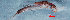  ( - JWA2882)  @12 [ ] Unspecified (default): All Rights Reserved  Unspecified Unspecified