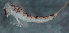  ( - JWA2883)  @12 [ ] Unspecified (default): All Rights Reserved  Unspecified Unspecified