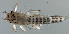  ( - EPAVE27)  @13 [ ] Unspecified (default): All Rights Reserved  Unspecified Unspecified