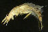  ( - JCD312)  @12 [ ] Unspecified (default): All Rights Reserved  Unspecified Unspecified