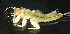  ( - JCD319)  @12 [ ] Unspecified (default): All Rights Reserved  Unspecified Unspecified
