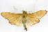  ( - CNCLEP00075519)  @11 [ ] CreativeCommons - Attribution Non-Commercial Share-Alike (2010) Jean-Francois Landry, CNC and Zhaofu Yang, BIO Canadian National Collections