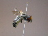  ( - RL1764)  @12 [ ] CreativeCommons - Attribution Non-Commercial Share-Alike (2012) Remko Leijs South Australian Museum