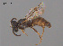  ( - RL1788A)  @11 [ ] CreativeCommons Attribution NonCommercial ShareAlike (2025) Remko Leijs South Australian Museum
