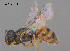  ( - RL1807E)  @11 [ ] CreativeCommons Attribution NonCommercial ShareAlike (2025) Remko Leijs South Australian Museum